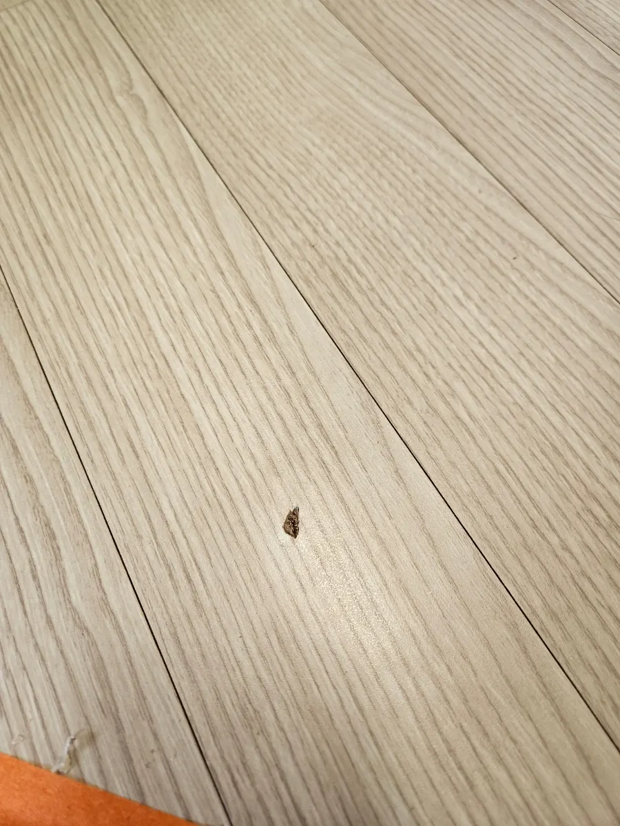 마루부분보수 강마루바닥찍힘 원복하기 3